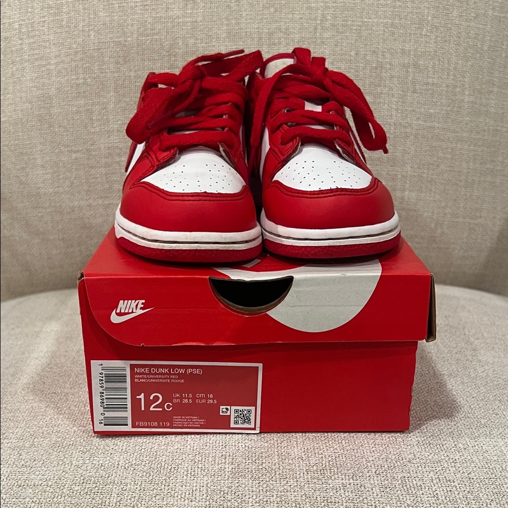 Nike Kids Dunks Red and White Sneakers